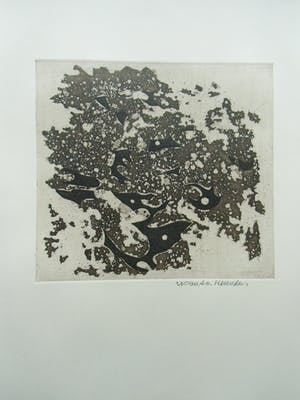 Wout van Heusden - titel: WRAK kopen? Bied vanaf 30!