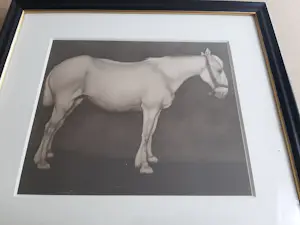 Jan Mankes - Originele Heliogravure Paard, 1923 kopen? Bied vanaf 120!