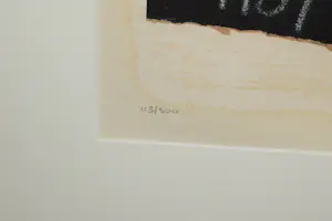 Theo Koster - Litho 113 van 500 kaufen? Bieten Sie von 40!