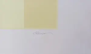 Hugo Demarco - "Relation couleur" - Siebdruck - Auflage von 200 - signiert - (75 x 75 cm) kopen? Bied vanaf 280!