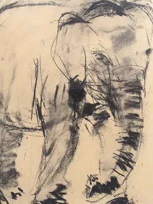 Nico Molenkamp - ‘Olifant’ - tekening - 1957 kopen? Bied vanaf 175!