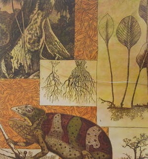 Annemarie Petri - Interieur van een rizoloog kopen? Bied vanaf 20!