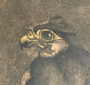 Chris Le Roy - Vogel; Valk kopen? Bied vanaf 10!