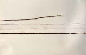 Tim Hadfield - Grote ‘conceptuele, minimalistische’ tekening , Takken – 1982 verkocht voor € 100!