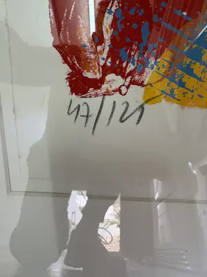 Jan Cremer - Tulipano Silvana 2 kopen? Bied vanaf 400!