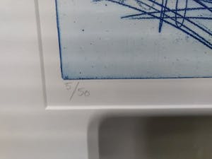 Ronald Tolman - de anatomische les kopen? Bied vanaf 50!