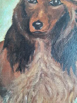 Niet of onleesbaar gesigneerd - Teckel hondje kopen? Bied vanaf 1!
