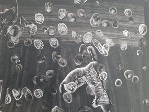 Anton Lutgerink - Dartel 1967 kopen? Bied vanaf 75!