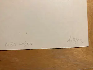 Ans Wortel - landje voor kinderen die van vogels houden kopen? Bied vanaf 120!