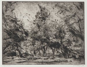 Wim Steijn - Ets, Landschap kopen? Bied vanaf 1!