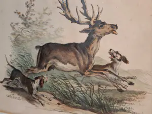 Carle Vernet - Handingekleurde litho jachttafreel kopen? Bied vanaf 35!