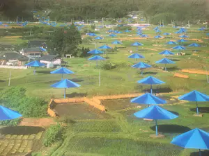 Christo - The Umbrellas, Ibaraki, Japan Site 1984-91 kopen? Bied vanaf 300!