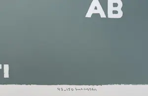 Reinier Lucassen - handgesigneerde kleurenzeefdruk | 'KLTR AB ANTI' kopen? Bied vanaf 120!