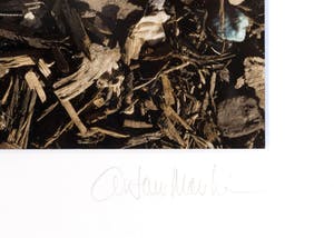 Arthur Martin - 'Fashion' / San Francisco '13 kopen? Bied vanaf 1!