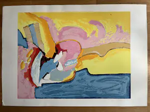 Ton van Kesteren - TWEE ZEEFDRUKKEN kopen? Bied vanaf 59!