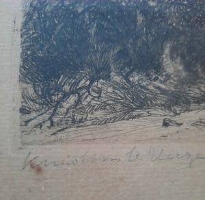 Willem van Nieuwenhoven - Kruisboom te Heese kopen? Bied vanaf 1!