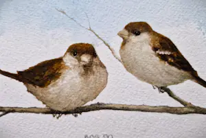 Jan Bos - Prachtig geschilderde aquarel "Mussen op tak" gesigneerd - in passe partout kopen? Bied vanaf 68!