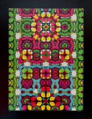 Shinkichi Tajiri - My secret garden met zwarte rand, gesigneerde offset kopen? Bied vanaf 75!