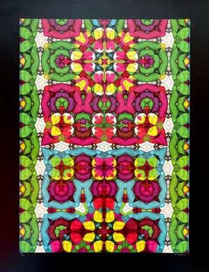 Shinkichi Tajiri - My secret garden met zwarte rand, gesigneerde offset verkocht voor € 75!