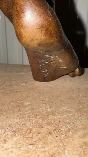 Wim van der Kant - Lucifer Evigilans kopen? Bied vanaf 2200!