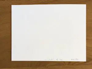 Reinder Homan - Wilgenbos kopen? Bied vanaf 50!