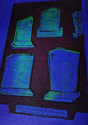 Marlene Dumas - Groot kleuren litho - zeer kleine oplage (15) Agter die nagt bedriglik die dood kopen? Bied vanaf 630!