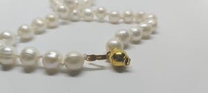 Zoetwaterparel Collier 14K gouden slotje 49cm kopen? Bied vanaf 65!