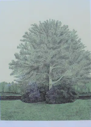 Sees Vlag - "Park" kopen? Bied vanaf 75!