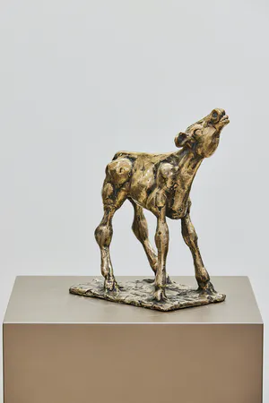 Theo Mackaay - Gouden kalf kopen? Bied vanaf 1600!