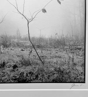 Ralph Janowski - Zonder titel kopen? Bied vanaf 30!