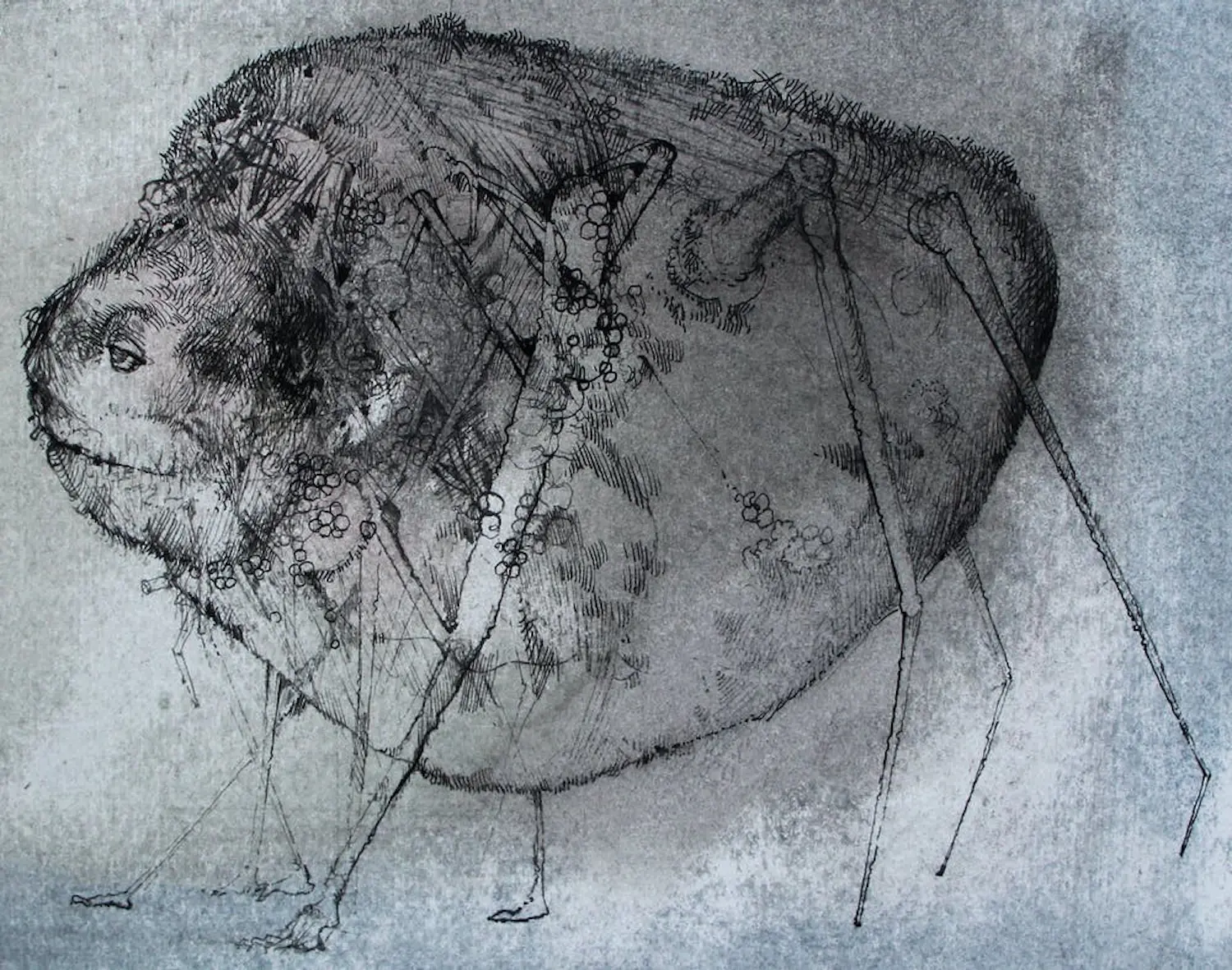 Dirkje Kuik (1929-2008)