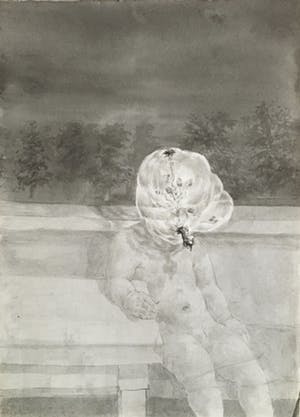 Peter Vos - Boomman kopen? Bied vanaf 80!