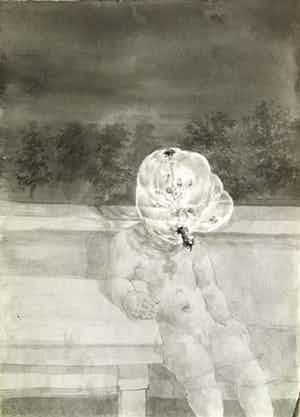 Peter Vos - Boomman verkocht voor € 80!