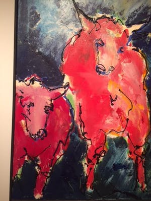 Arno Overdevest - Koeien kopen? Bied vanaf 2200!