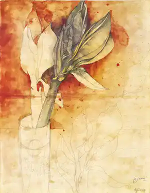 Bruno Bruni - Kleurenoffset-litho AMARYLLIS Handgesigneerd verkauft für € 69!