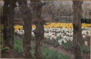 Anton L. Koster - Bloembollenveld bij de "Glip" (Heemstede) kopen? Bied vanaf 1950!