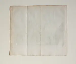 Isaac Tirion - Wijk bij Duurstede Tirion Oude Gravure 1755 kopen? Bied vanaf 25!