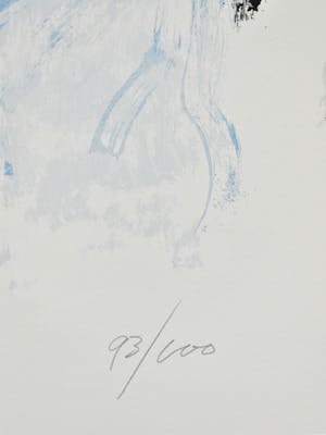 Bert Braam - Desira kopen? Bied vanaf 50!