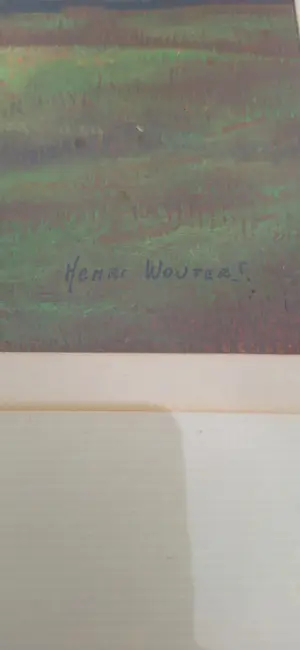 Henri Wouters - Platteland kopen? Bied vanaf 30!