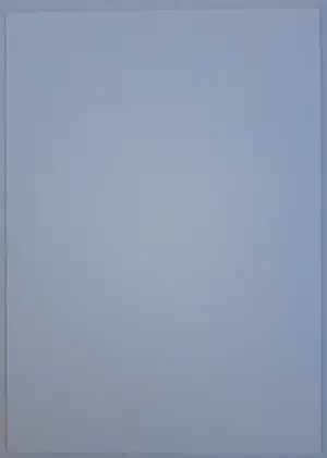 Auguste Renoir - Baigneuse de dos s'essuyant kopen? Bied vanaf 100!