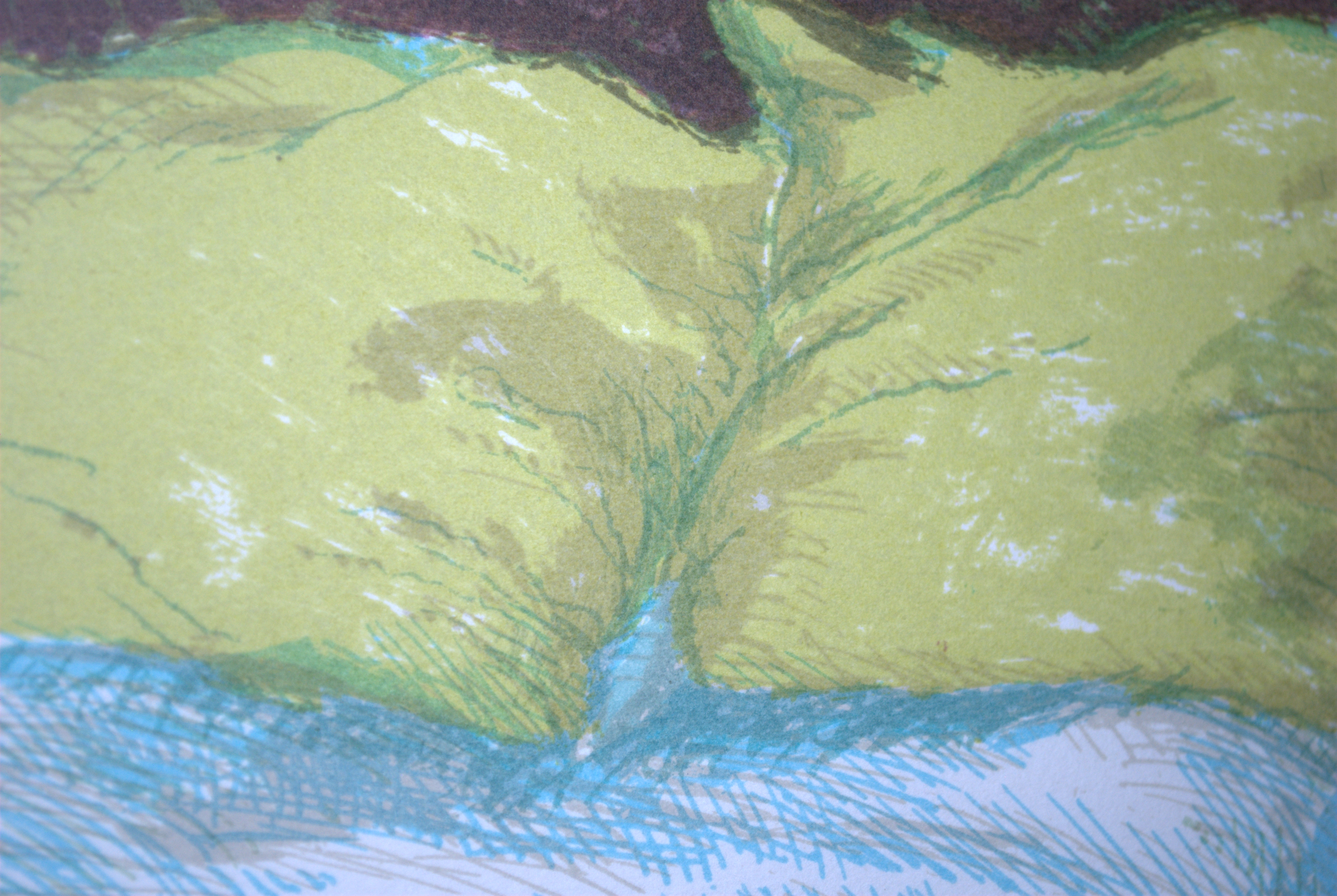 Herman Berserik - litho interieur slaapkamer "Renoupres" kopen? Bied vanaf 90!