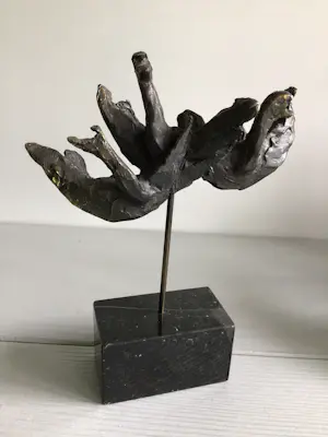 Bernadette Leijdekkers - “ Wilde Zwanen “ kopen? Bied vanaf 99!