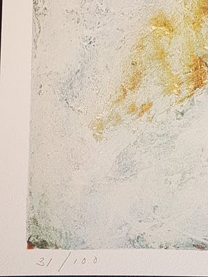 Guillaume Lo-A-Njoe - schaatsen kopen? Bied vanaf 1!