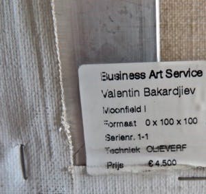 Valentin Bakardjiev - Horse - In onnavolgbare fluweelzachte kleurstelling - Nieuwwaarde €4.500,- kopen? Bied vanaf 1!