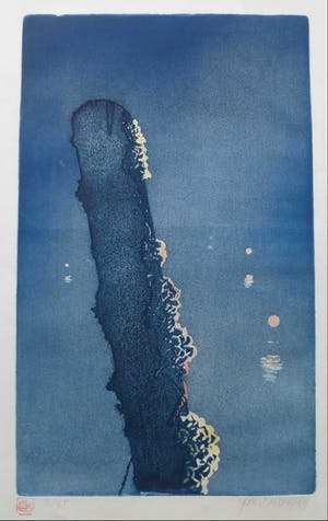 Sjoerd Bakker - De Meerpaal kopen? Bied vanaf 75!