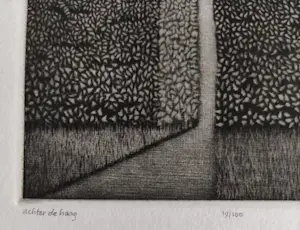 Joop Vegter - Achter de haag kopen? Bied vanaf 60!