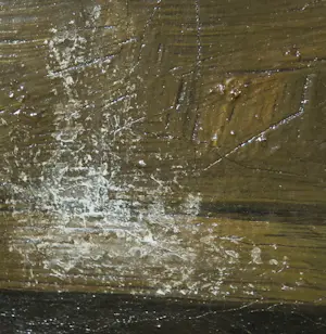 Niet of onleesbaar gesigneerd - Olieverf op doek, Stilleven met citrusvruchten - Ingelijst kopen? Bied vanaf 1!