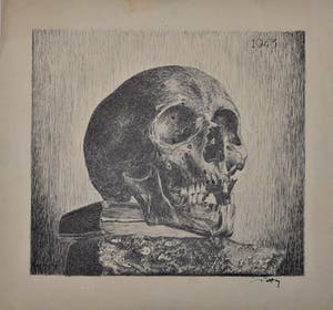 Wim Motz - Schedel op boek kopen? Bied vanaf 35!