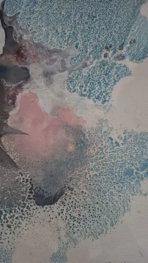 Bas Haasnoot - Steltloper kopen? Bied vanaf 20!