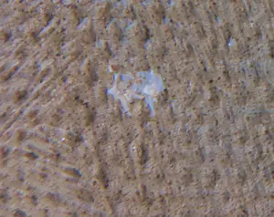 Niet of onleesbaar gesigneerd - Olieverf op doek, Zonder titel kopen? Bied vanaf 1!